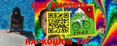 прущие грибы Сланцы