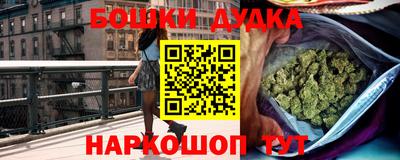 прущие грибы Сланцы