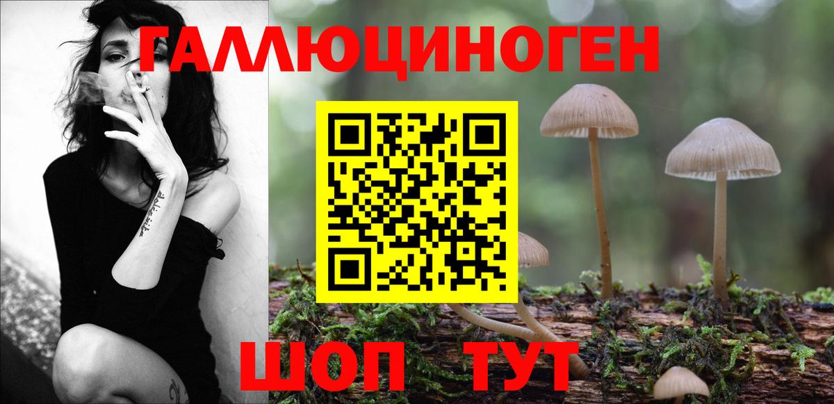 Псилоцибиновые грибы Cubensis Чернушка